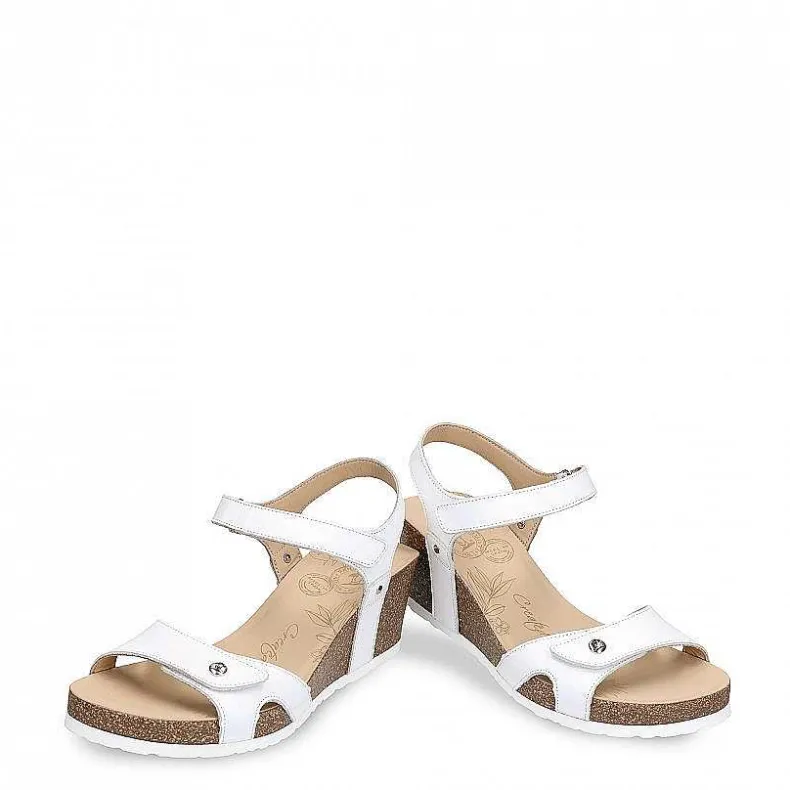 Clearance Julia Basics Vrouw Alles