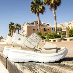 Clearance Noah Vrouw Alles