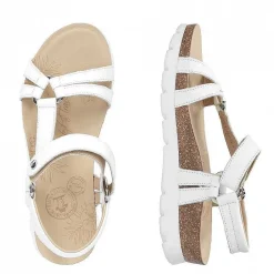 Store Sally Basics Vrouw Alles