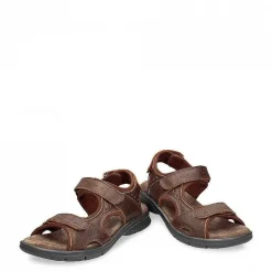 Cheap Salton Basics Man Alles