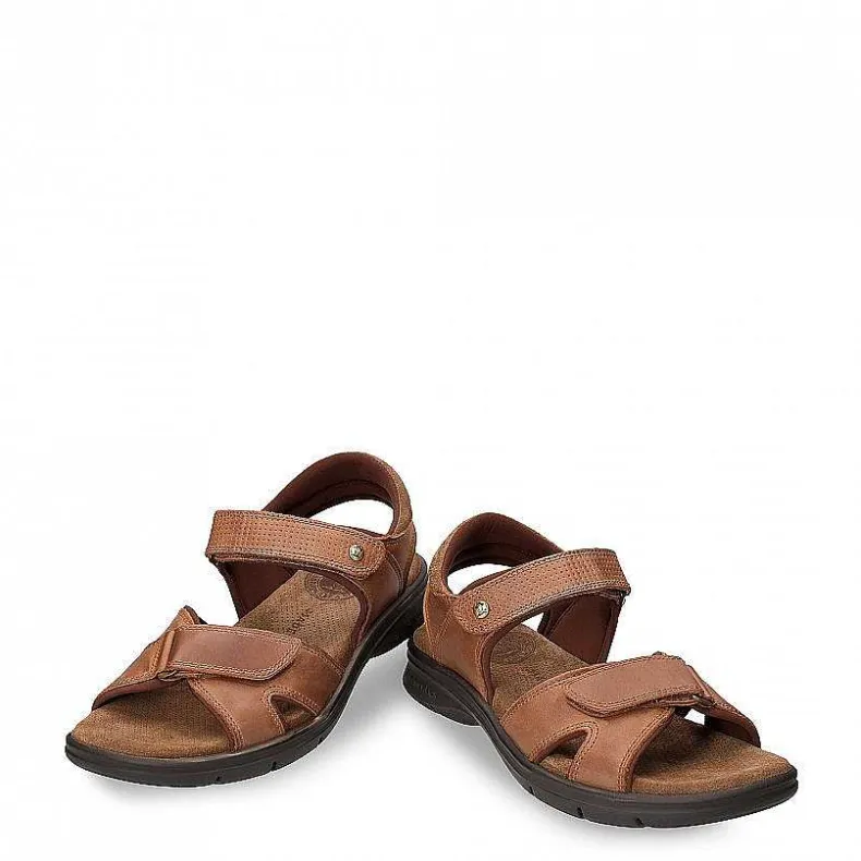 Discount Sanders Basics Man Sandalen