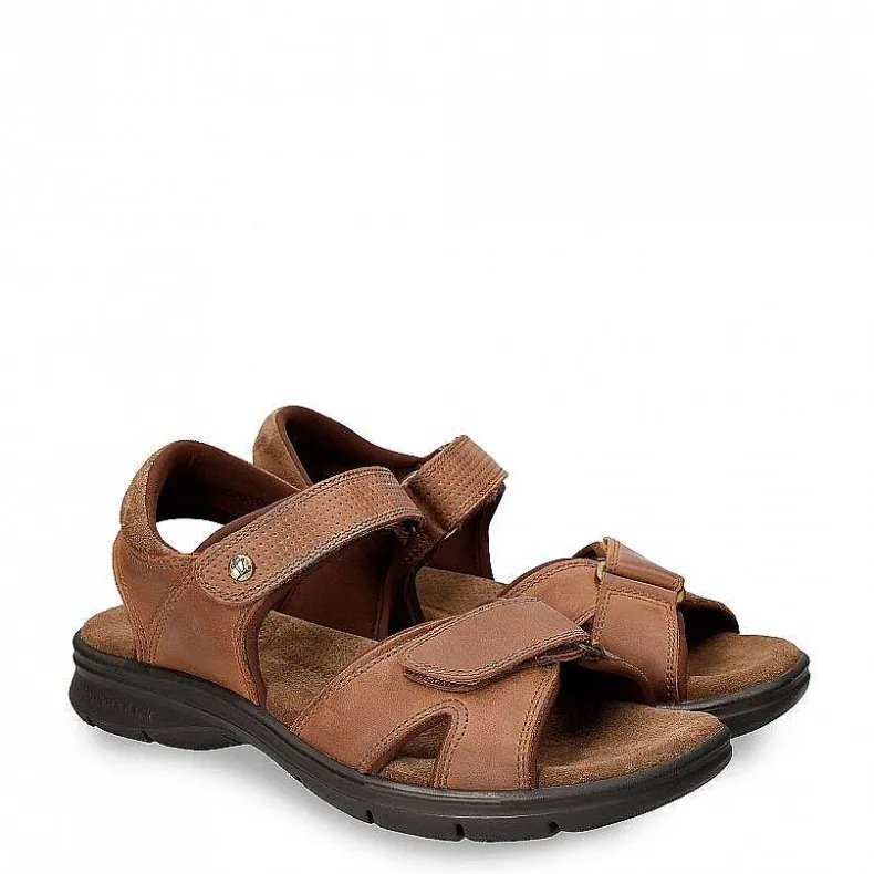Discount Sanders Basics Man Sandalen