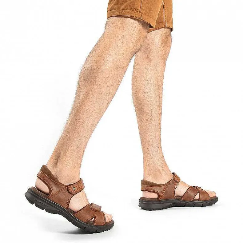 Discount Sanders Basics Man Sandalen
