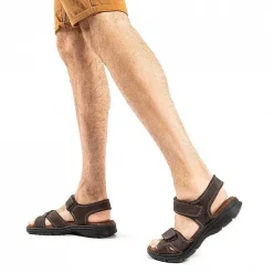 Best Sanders Basics Man Alles