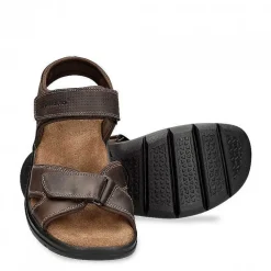 Best Sanders Basics Man Alles