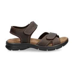 Best Sanders Basics Man Alles