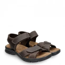 Best Sanders Basics Man Alles